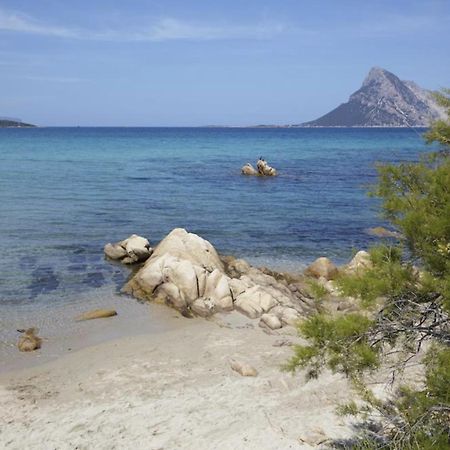 Appartamento Mare Olbia - Murta Maria Kültér fotó